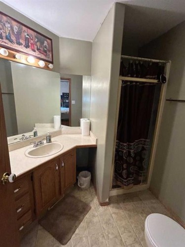 5215 58 Street, Vermilion, AB - Indoor Photo Showing Bathroom