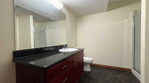 6 Cedar Crescent, Rural Wainwright No. 61, M.D. Of, AB - Indoor Photo Showing Bathroom