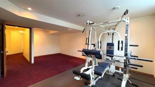 6 Cedar Crescent, Rural Wainwright No. 61, M.D. Of, AB - Indoor Photo Showing Gym Room
