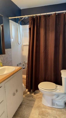 39 Rydberg Street, Hughenden, AB - Indoor Photo Showing Bathroom