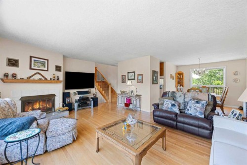 74 Blackfoot Road, Rural Vermilion River, County Of, AB - Indoor Photo Showing Living Room With Fireplace
