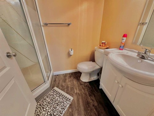 1134 21 Street, Wainwright, AB - Indoor Photo Showing Bathroom