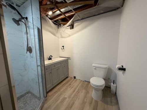 5427 49 Street, Provost, AB - Indoor Photo Showing Bathroom