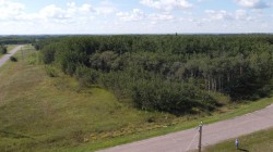 1 - 65017 Twp Rd 442B  Rural Wainwright No. 61, M.D. Of, AB T9W 1T4