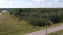 1 - 65017 Twp Rd 442B, Rural Wainwright No. 61, M.D. Of, AB 