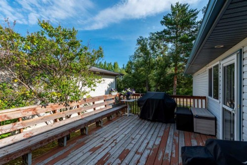 310 1 Street East, Marshall, SK - Outdoor With Deck Patio Veranda With Exterior
