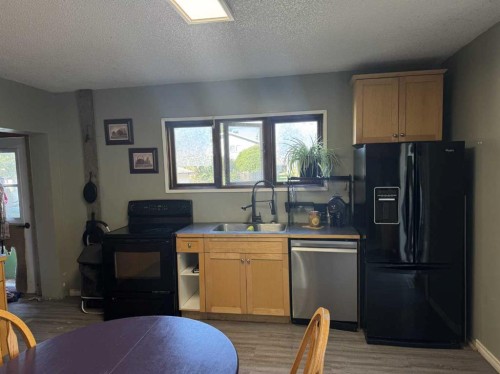 5228 48 Street, Provost, AB - Indoor Photo Showing Kitchen With Double Sink