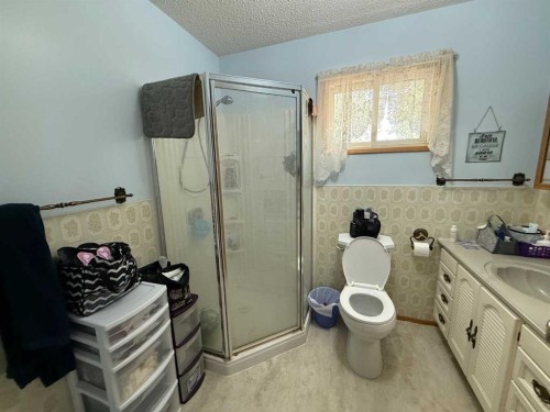 5136 46 Street, Provost, AB - Indoor Photo Showing Bathroom