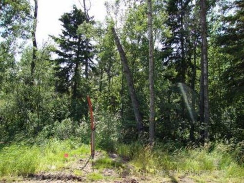 Lot 1 Blk 5 Lakeside Drive, Perch Lake, SK 