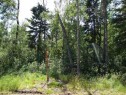Lot 1 Blk 5 Lakeside Drive, Perch Lake, SK 