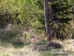 Lot 2 Blk 5 LAKESIDE Drive  Perch Lake, SK S0M 2G0