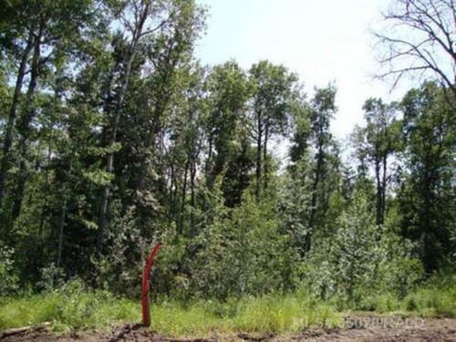 Lot 3 Blk 5 Lakeside Drive, Perch Lake, SK 