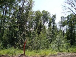 Lot 3 Blk 5 LAKESIDE Drive  Perch Lake, SK S0M 2G0