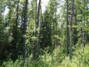 Lot 3 Blk 5 Lakeside Drive, Perch Lake, SK 