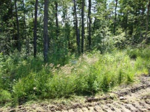 Lot 3 Blk 5 Lakeside Drive, Perch Lake, SK 