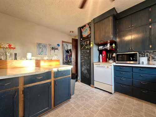 312 Main Street, Maidstone, SK - Indoor Photo Showing Kitchen