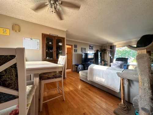 312 Main Street, Maidstone, SK - Indoor Photo Showing Bedroom