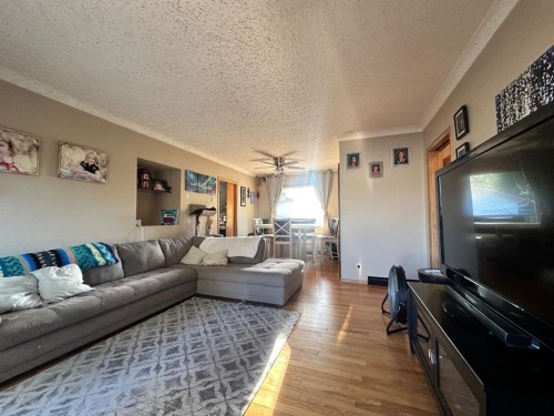 312 Main Street, Maidstone, SK - Indoor Photo Showing Living Room