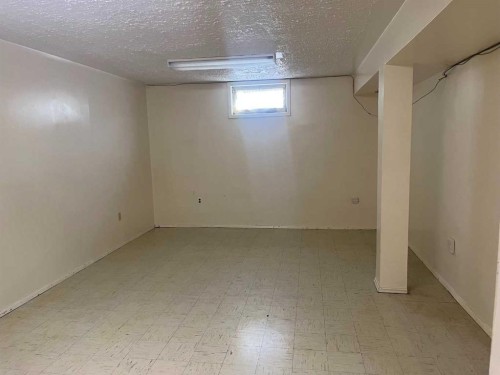 4502 56 Avenue, Lloydminster, AB - Indoor Photo Showing Basement