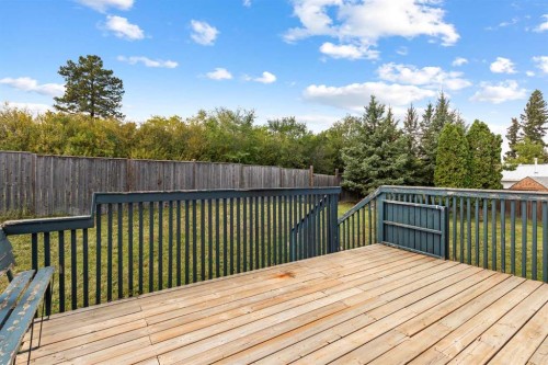 110 Pleasant Drive, Paradise Valley, AB - Outdoor With Deck Patio Veranda
