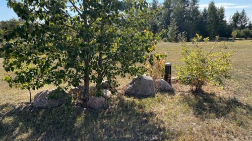 445045 Rng Rd 45, Rural Wainwright No. 61, M.D. Of, AB - Outdoor With View