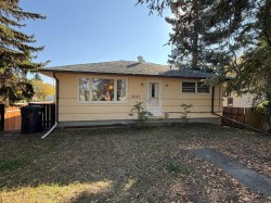 5047 51 Street  Mannville, AB T0B 2W0