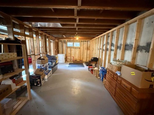 5047 51 Street, Mannville, AB - Indoor Photo Showing Basement