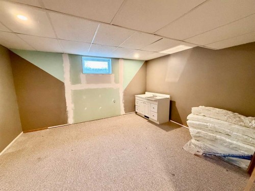 4425 56 Avenue, Provost, AB - Indoor Photo Showing Basement