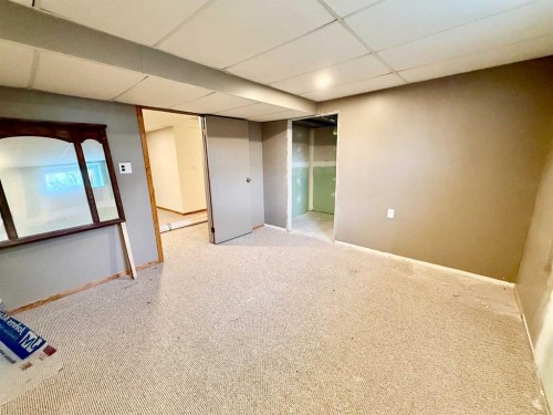 4425 56 Avenue, Provost, AB - Indoor Photo Showing Basement