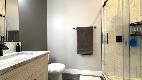 538 24 Street, Wainwright, AB - Indoor Photo Showing Bathroom