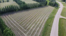 14 EMANUEL Drive  Rural Wainwright No. 61, M.D. Of, AB T9W 1S9