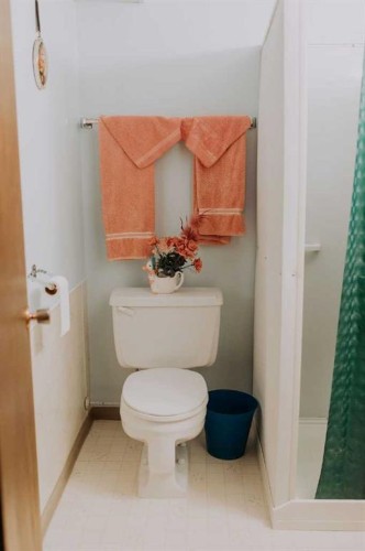 317 4 Avenue Crescent, Wainwright, AB - Indoor Photo Showing Bathroom