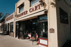 320 10 Street  Wainwright, AB T9W 1P6