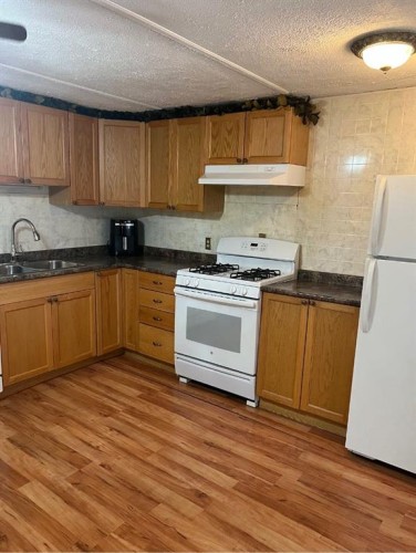 100 4 Avenue North, Marwayne, AB - Indoor Photo Showing Kitchen With Double Sink