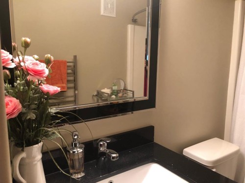 52-4008 41 Avenue, Lloydminster, SK - Indoor Photo Showing Bathroom