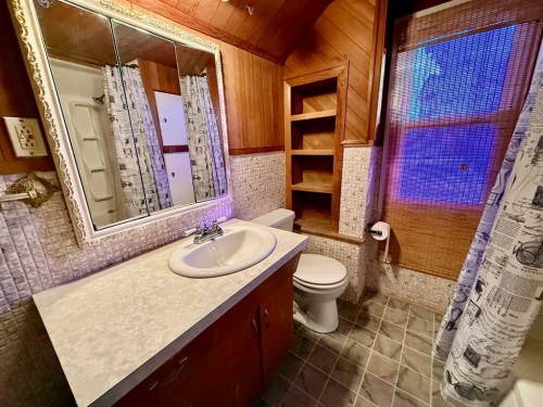 5107 47 Street, Provost, AB - Indoor Photo Showing Bathroom