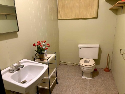 4415 52 Street, Vermilion, AB - Indoor Photo Showing Bathroom