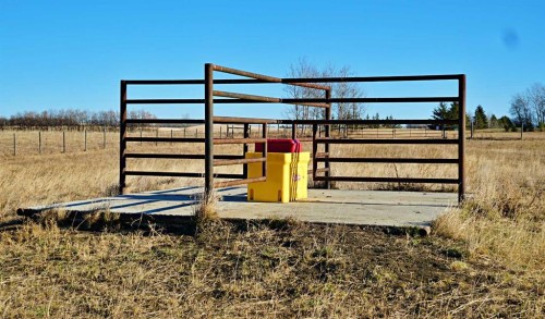 531040 Range Road 54, Rural Vermilion River, County Of, AB - Outdoor With View