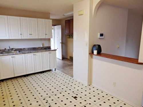 4607 48B Avenue, Vermilion, AB - Indoor Photo Showing Kitchen