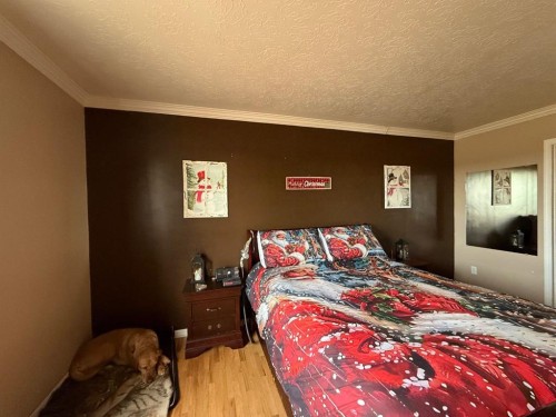 5101 55 Street, Mannville, AB - Indoor Photo Showing Bedroom