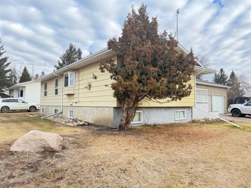 5101 55 Street, Mannville, AB - Outdoor