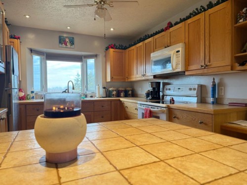 5101 55 Street, Mannville, AB - Indoor Photo Showing Kitchen
