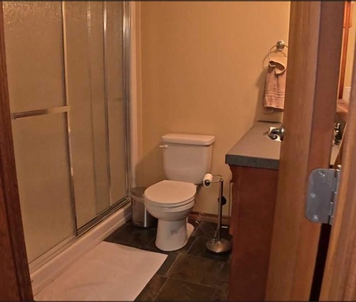 45069 Twp Rd 424, Rural Wainwright No. 61, M.D. Of, AB - Indoor Photo Showing Bathroom