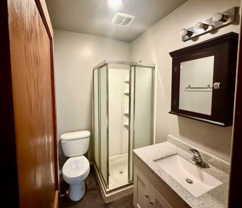 5115 46 Street, Provost, AB - Indoor Photo Showing Bathroom