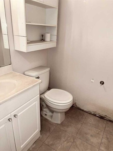 5019 51 Street, Mannville, AB - Indoor Photo Showing Bathroom