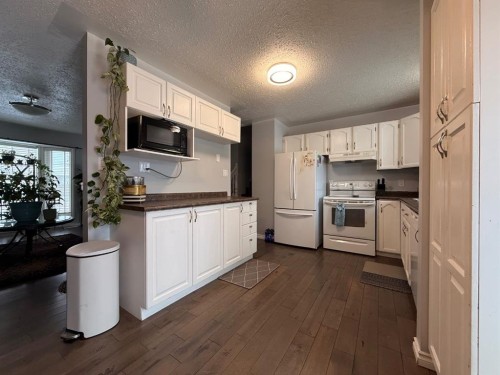 5213 48 Street, Kitscoty, AB - Indoor Photo Showing Kitchen