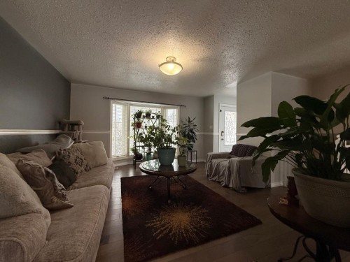 5213 48 Street, Kitscoty, AB - Indoor Photo Showing Living Room