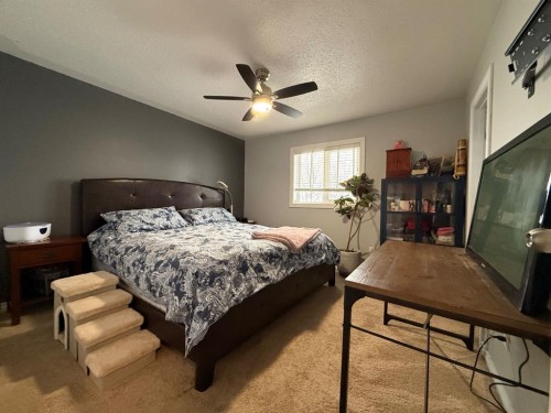 5213 48 Street, Kitscoty, AB - Indoor Photo Showing Bedroom