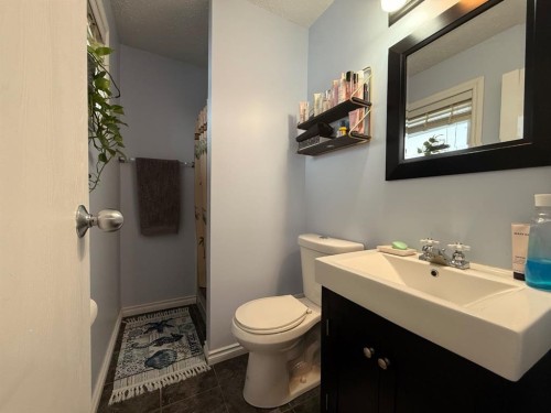 5213 48 Street, Kitscoty, AB - Indoor Photo Showing Bathroom