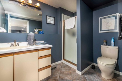 3812 58 Avenue, Lloydminster, AB - Indoor Photo Showing Bathroom